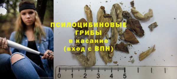 гашиш Ельня