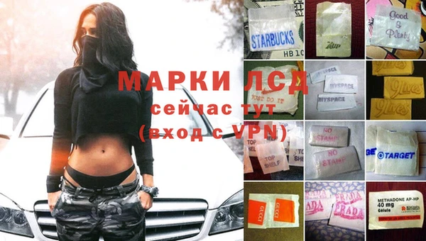 мяу мяу мука Елизово
