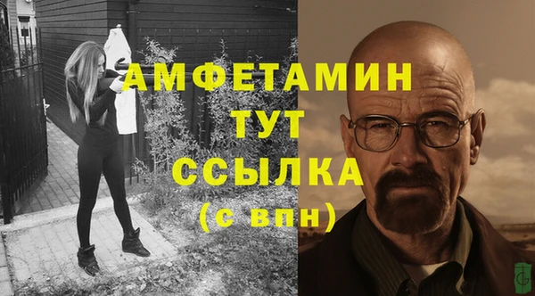 мяу мяу мука Елизово