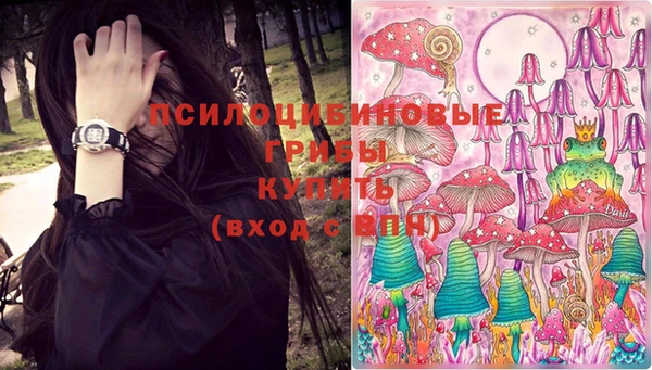 мяу мяу мука Елизово