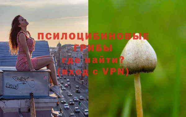 мяу мяу мука Елизово