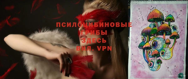 гашиш Ельня