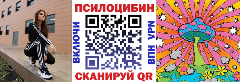 Псилоцибиновые грибы Cubensis  Купить где  Липецк 